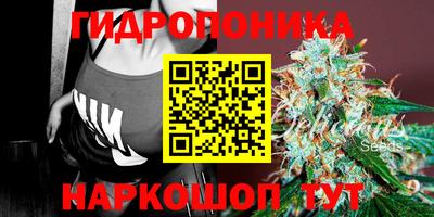 герыч Камышлов