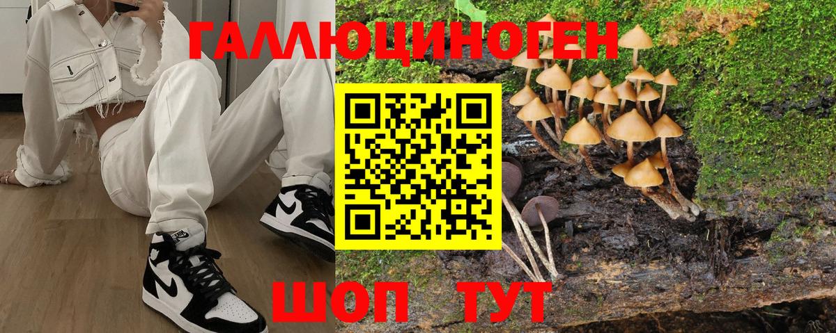 Галлюциногенные грибы ЛСД  где продают   Донской  Вход с VPN 